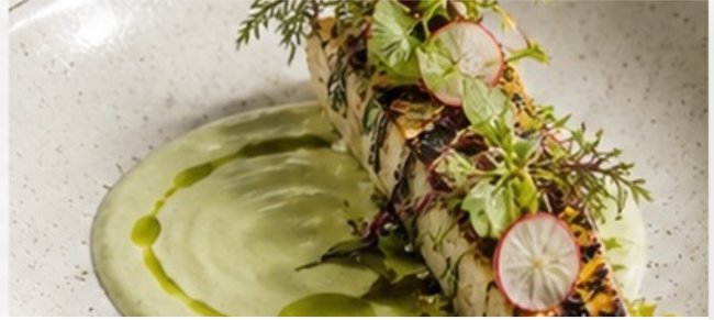 Plated culinary concept